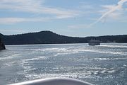 27 - Ferry to Vancouver Island - IMG_1574